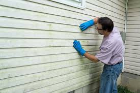 Best Storm Damage Siding Repair  in Claymont, DE